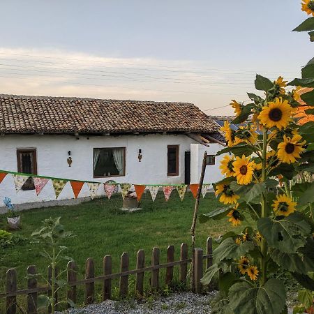 Serendipity Cottage Palamartsa Palamarza Экстерьер фото